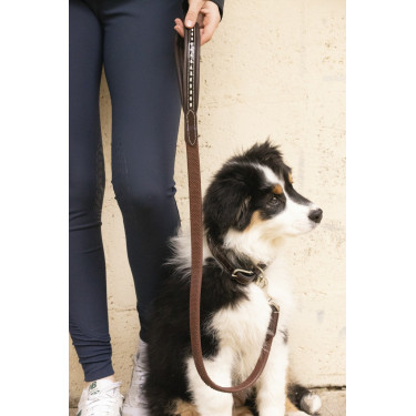 Lass los Hund Pénélope Rubber Lass los Hund Pénélope Rubber