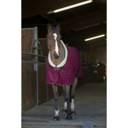 Trockendecke Equithème Teddy Trockendecke Equithème Teddy
