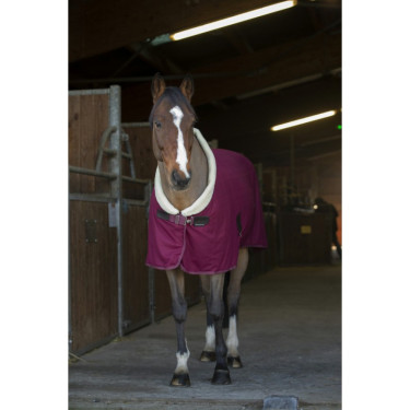 Trockendecke Equithème Teddy Trockendecke Equithème Teddy