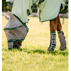 Vliegenbeschermers Horseware Beige / Grün Vliegenbeschermers Horseware Beige / Grün