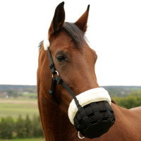 Antikoliek mand Kerbl polair