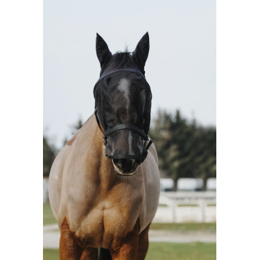 Halfter + Maske Equithème