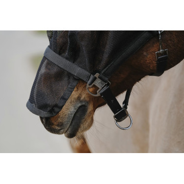 Halfter + Maske Equithème Halfter + Maske Equithème