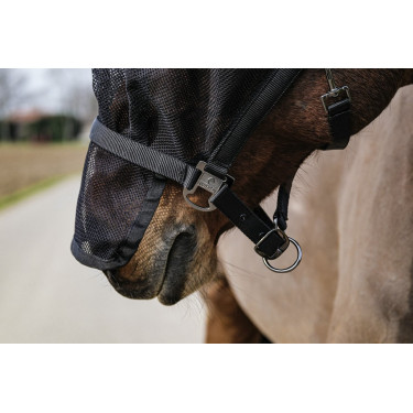 Halfter + Maske Equithème Halfter + Maske Equithème