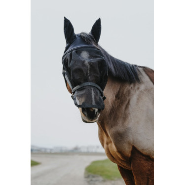 Halfter + Maske Equithème Halfter + Maske Equithème