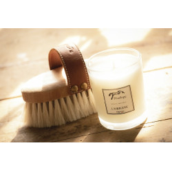 Bougie L'origine Pénélope