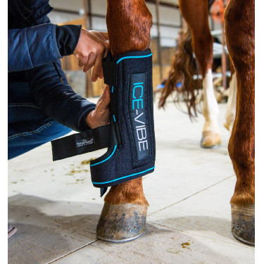 Massagetherapie-Gamaschen Horseware Ice-Vibe Massagetherapie-Gamaschen Horseware Ice-Vibe