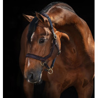 Rambo Micklem Halfter Horseware Braun Rambo Micklem Halfter Horseware Braun