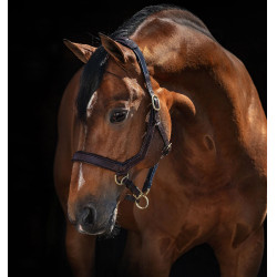 Rambo Micklem Halfter Horseware Braun