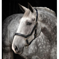 Rambo Micklem Halfter Horseware Schwarz Rambo Micklem Halfter Horseware Schwarz