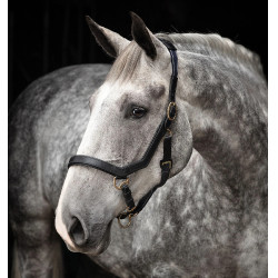 Rambo Micklem Halfter Horseware Rambo Micklem Halfter Horseware