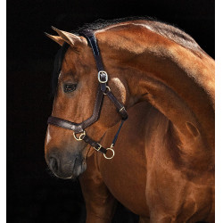Rambo Micklem Halfter Horseware Braun