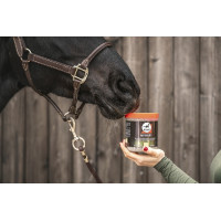 Aliment complémentaire Leovet Hamba Vet Aliment complémentaire Leovet Hamba Vet