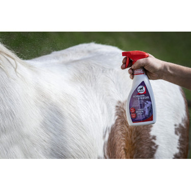 Leovet Entwirrer Grauschimmel Spray Leovet Entwirrer Grauschimmel Spray