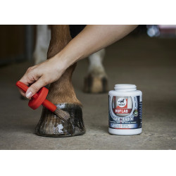 Natürliche Salbe Leovet Huf Lab mit Pinsel Natürliche Salbe Leovet Huf Lab mit Pinsel