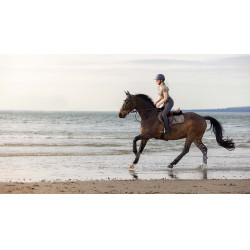 Satteldecke LeMieux Earth Close Contact Moos Braun Satteldecke LeMieux Earth Close Contact Moos Braun