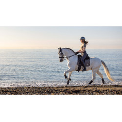 LeMieux Earth Dressur Schabracke LeMieux Earth Dressur Schabracke
