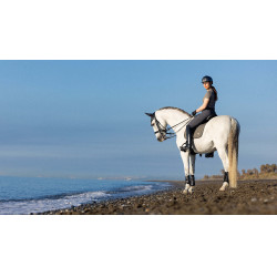 LeMieux Earth Dressur Schabracke LeMieux Earth Dressur Schabracke