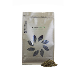PHYTO ROBE PHYTO ROBE