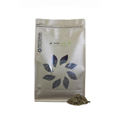 PHYTO SENIOR PHYTO SENIOR