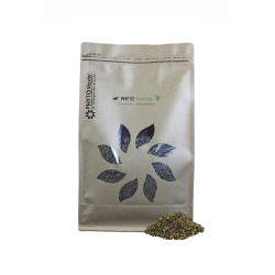 PHYTO WARZEN PHYTO WARZEN