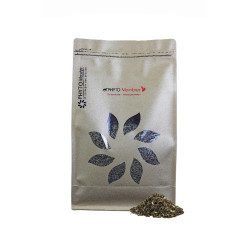 Phyto Mitglieder Phyto Meister Phyto Mitglieder Phyto Meister