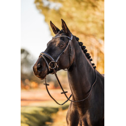 Anatomisches Zaumzeug Horze Lockhart Schwarz