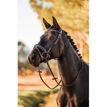 Anatomisches Zaumzeug Horze Lockhart Schwarz