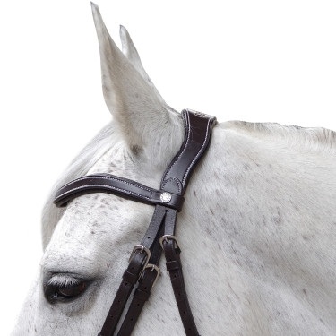 Bridon Canter Baloubet Noir