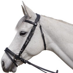 Bridon Flags & Cup Aachen Bridon Flags & Cup Aachen