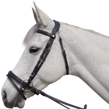 Bridon Flags & Cup Aachen Bridon Flags & Cup Aachen