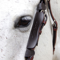 Oeillères Flags & Cup