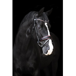 Trense Impérial Riding Fria Trense Impérial Riding Fria