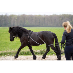 Lange Zügel Imperial Riding Free Ride Lange Zügel Imperial Riding Free Ride