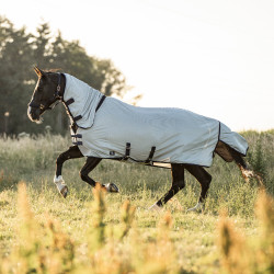 Fliegendecke mit abnehmbarem Halsteil Imperial Riding Reese Fliegendecke mit abnehmbarem Halsteil Imperial Riding Reese