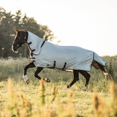 Fliegendecke mit abnehmbarem Halsteil Imperial Riding Reese Fliegendecke mit abnehmbarem Halsteil Imperial Riding Reese