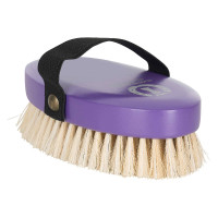 Imperial Riding hoofdborstel Königliches Violett Lila