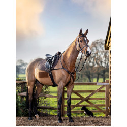 LeMieux Prosport Close Contact Schabracke - Baumwolle LeMieux Prosport Close Contact Schabracke - Baumwolle