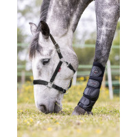 Licol Break Away LeMieux