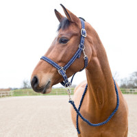 Licol et longe Cooper Horze Supreme Bleu marine