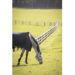 Wasserdichte Decke Paddock Sports NR Wasserdichte Decke Paddock Sports NR