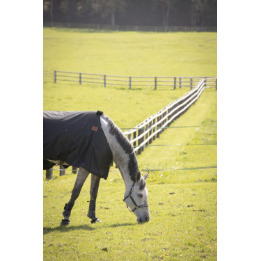 Wasserdichte Decke Paddock Sports NR Wasserdichte Decke Paddock Sports NR
