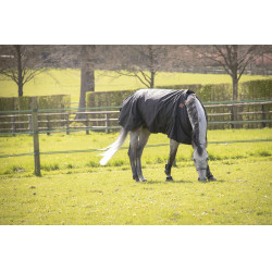 Wasserdichte Decke Paddock Sports NR Wasserdichte Decke Paddock Sports NR