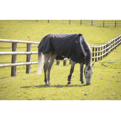 Wasserdichte Decke Paddock Sports NR Wasserdichte Decke Paddock Sports NR