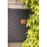 Teppich Diagonal Paddock Sports Schwarz