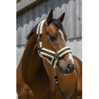 Norton Cosy Halfter Schokolade