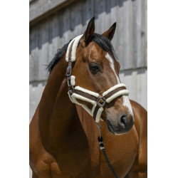 Norton Cosy Halfter