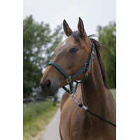 Halfter Norton Satine Dunkelgrün