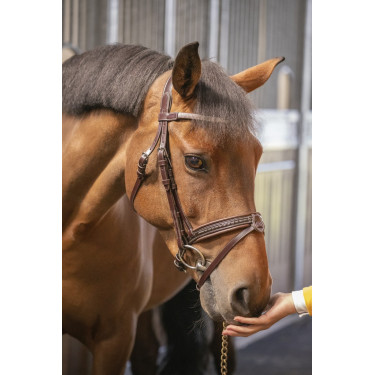 Trense Pénélope Harmonie Havanna Braun