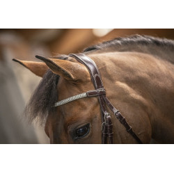 Trense Pénélope Harmonie Havanna Braun